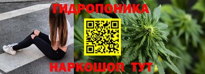 Альфа ПВП Новозыбков